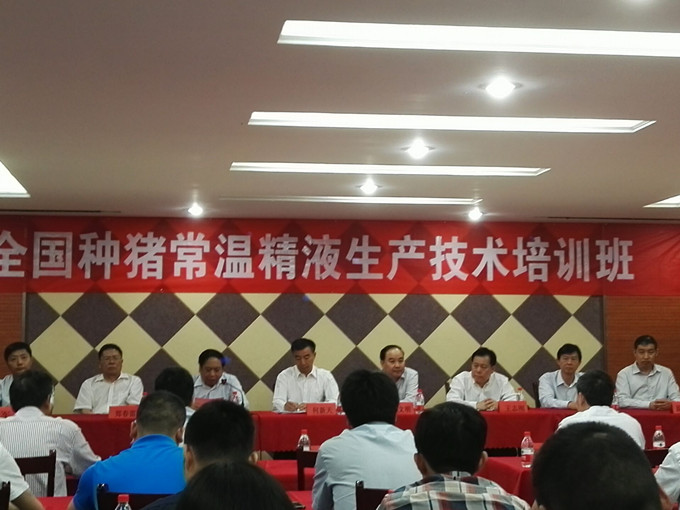種豬常溫精液生產(chǎn)技術培訓