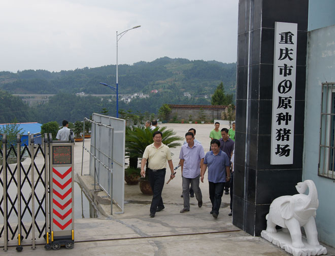 國家鄉(xiāng)村振興局副局長、原黔江區(qū)委書記洪天云視察重慶69